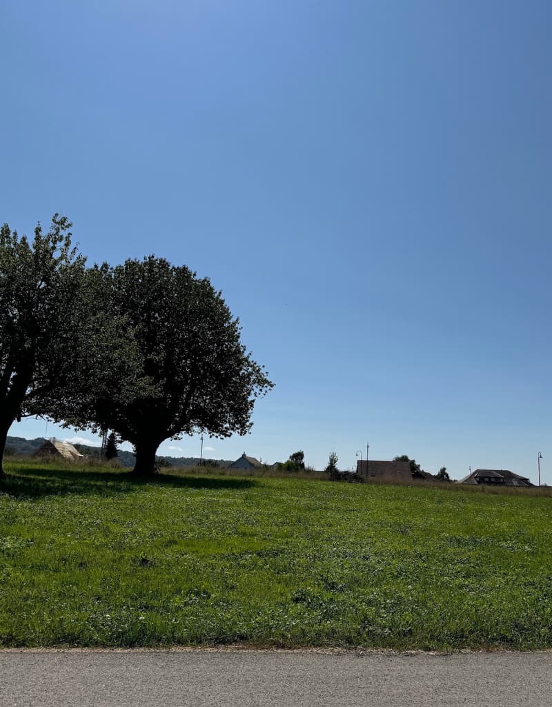 Attractive building land in a quiet location in Möhlin (13)