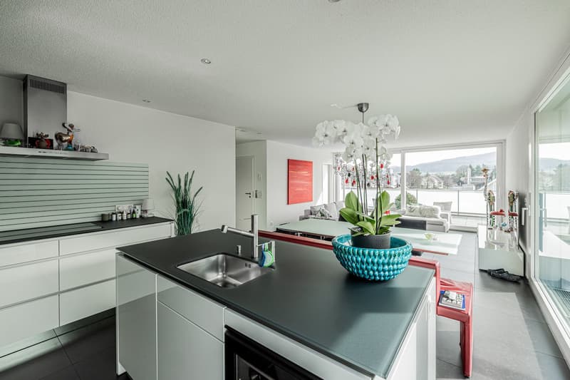 Beautiful Penthouse Attic Apartment in Möhlin with Great View (reserved) (8)