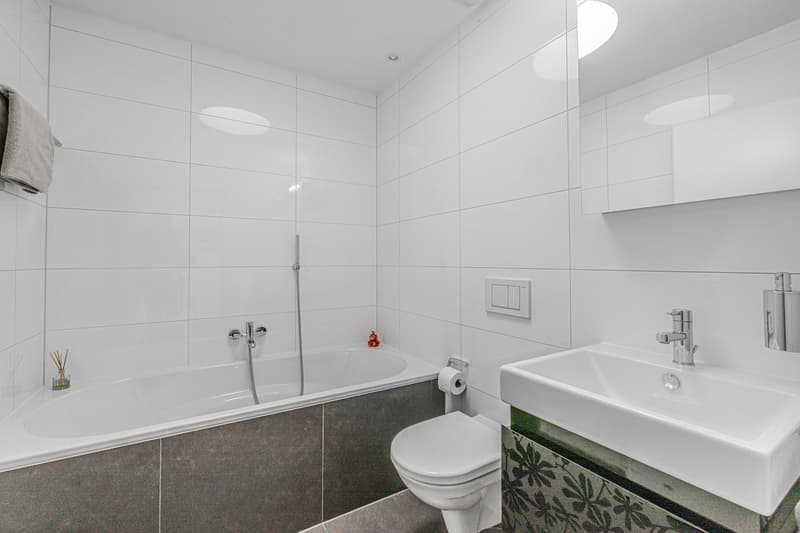 Beautiful Penthouse Attic Apartment in Möhlin with Great View (reserved) (13)