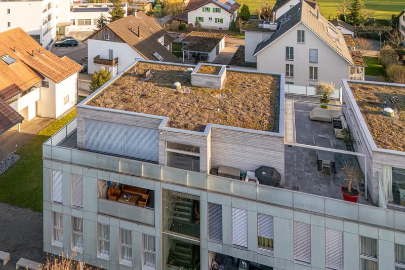 Beautiful Penthouse Attic Apartment in Möhlin with Great View (reserved) (2)