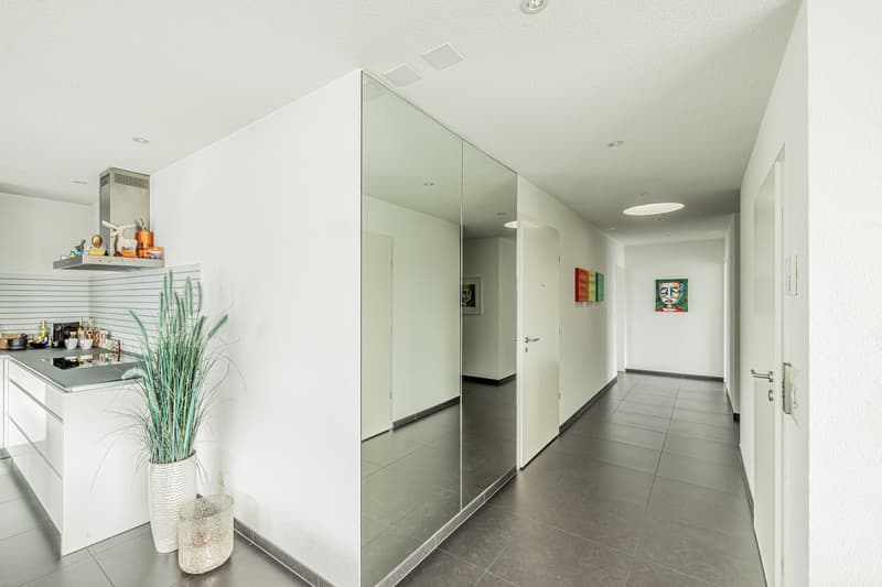 Beautiful Penthouse Attic Apartment in Möhlin with Great View (reserved) (11)