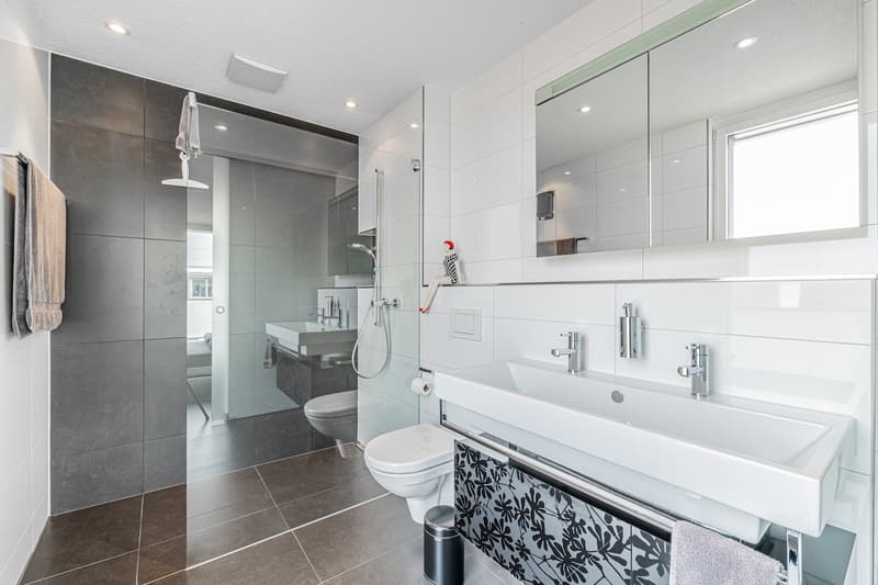 Beautiful Penthouse Attic Apartment in Möhlin with Great View (reserved) (20)