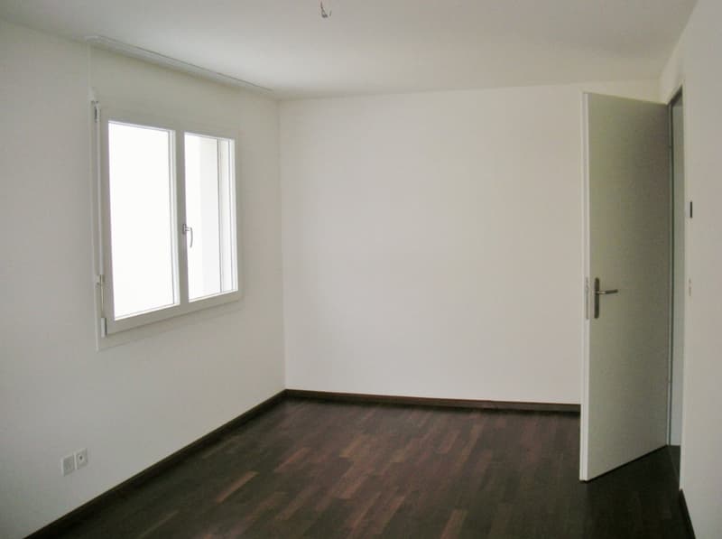 Mint-condition apartment with private laundry room (11)