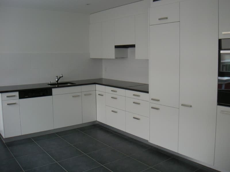 Mint-condition apartment with private laundry room (6)