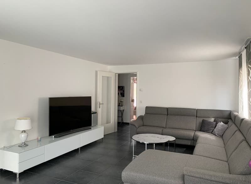 Mint-condition apartment with private laundry room (2)
