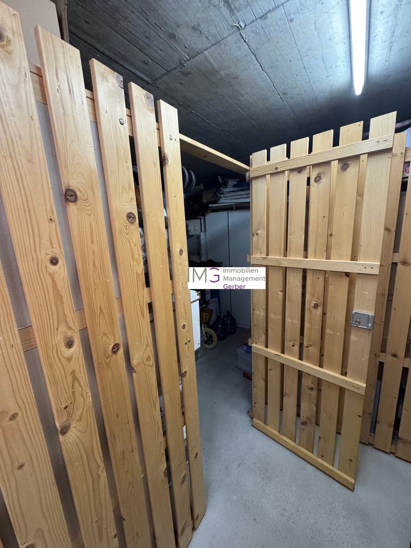 Mint-condition apartment with private laundry room (17)