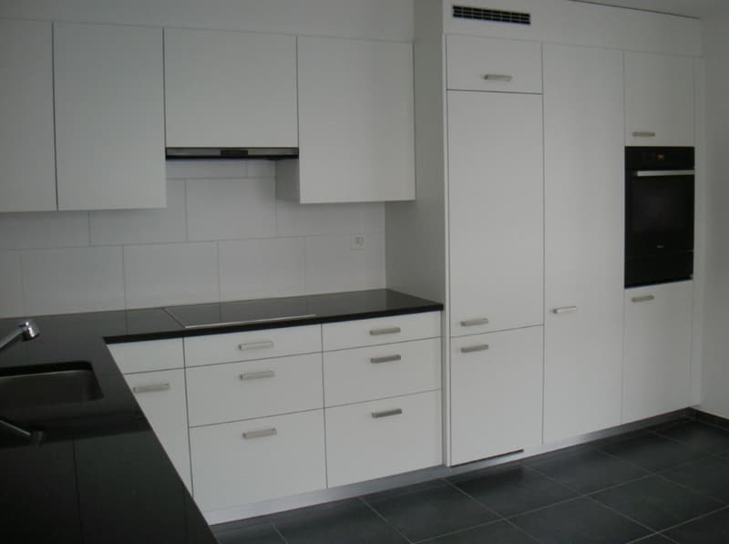 Mint-condition apartment with private laundry room (5)