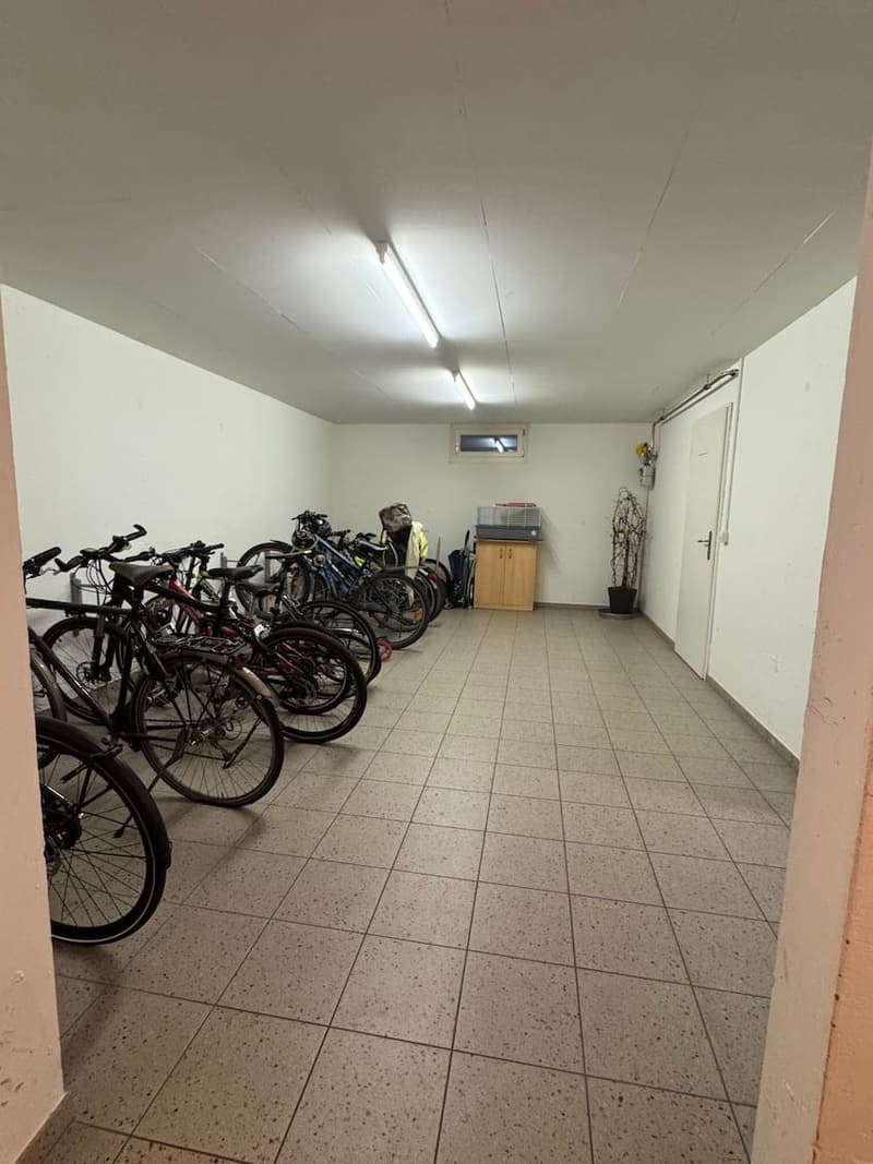 Mint-condition apartment with private laundry room (13)