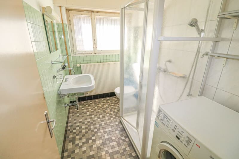 Deux grands bâtiments sur 1'824 m2 de terrain constructible (8)
