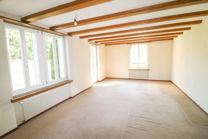 Deux grands bâtiments sur 1'824 m2 de terrain constructible (7)