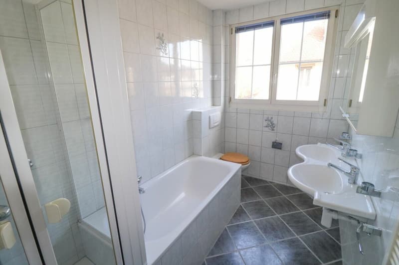 8.5-room house, also usable as a multi-generation house, on 1,441 m2 of land with building land reserve (13)