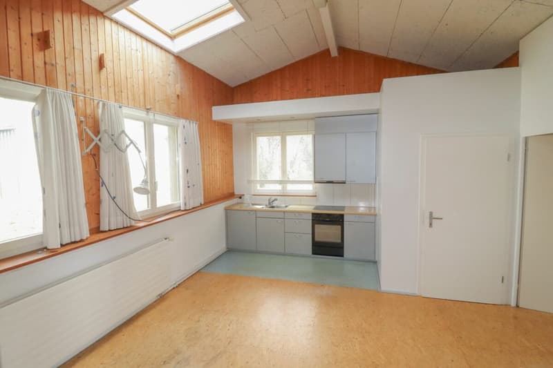 8.5-room house, also usable as a multi-generation house, on 1,441 m2 of land with building land reserve (16)