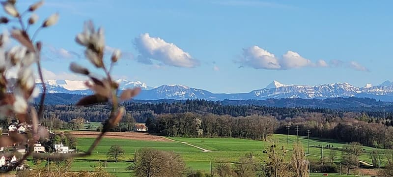 Maison unifamiliale 4.5 pièces avec salle de hobby et grande terrasse avec vue panoramique fantastique sur les Alpes (3)
