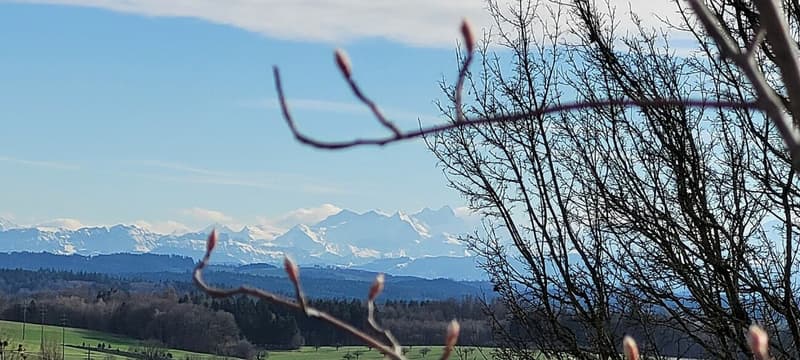 Maison unifamiliale 4.5 pièces avec salle de hobby et grande terrasse avec vue panoramique fantastique sur les Alpes (17)