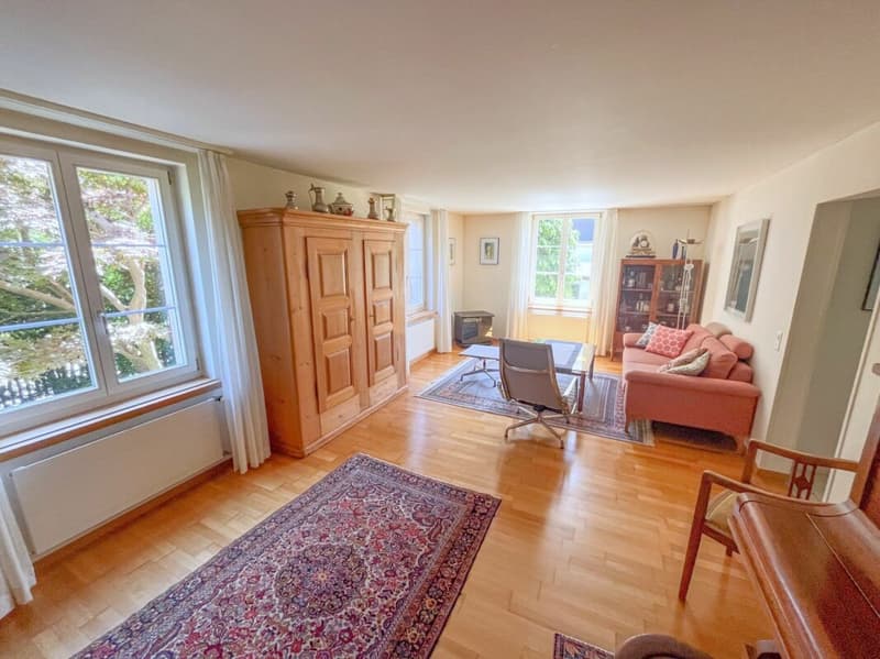 Spacious 5.5-room detached house with large terrace (5)
