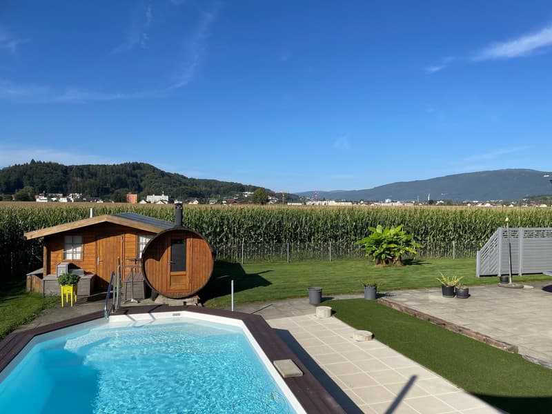 Detached house with pool and large garden in Schwadernau (1)