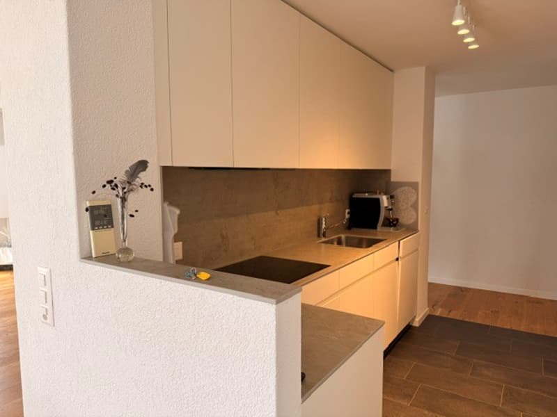 Appartement de 4,5 pièces rénové avec haute qualité et situé au centre, avec balcon (6)