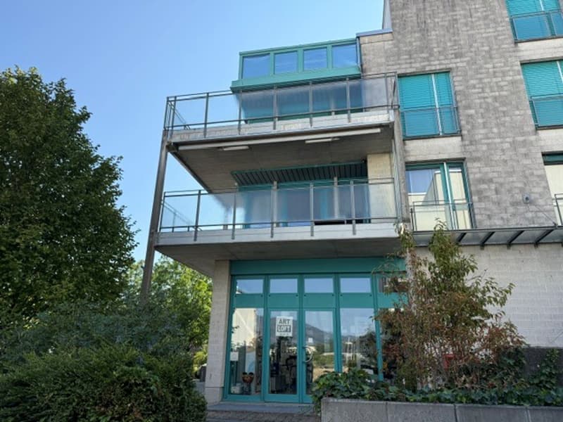 Appartement de 4,5 pièces rénové avec haute qualité et situé au centre, avec balcon (14)