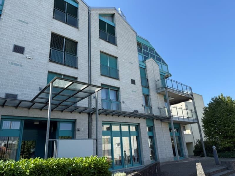 Appartement de 4,5 pièces rénové avec haute qualité et situé au centre, avec balcon (15)