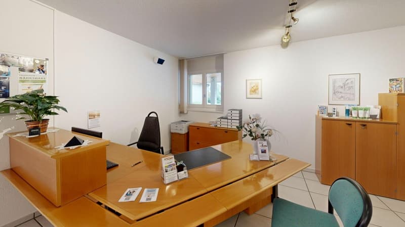 Practice, office, consulting? The perfect property (6)