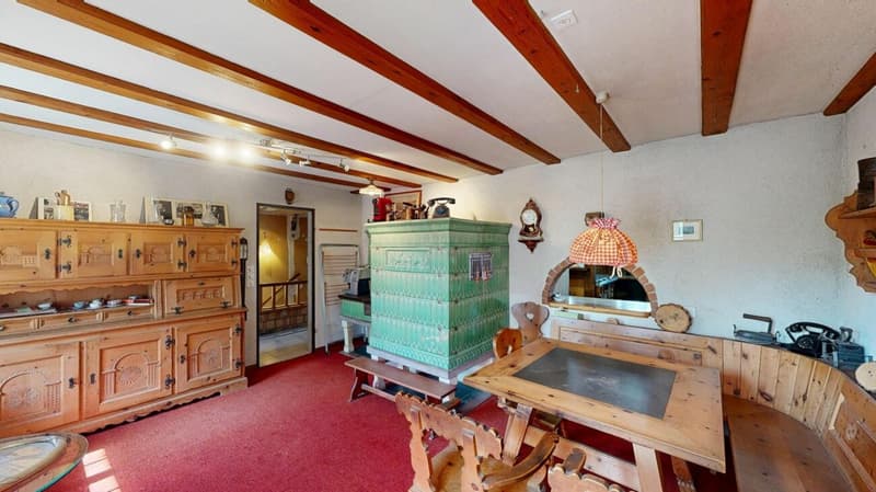 Unique lover's object with spacious garage / workshop (7)