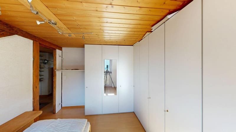 Unique lover's object with spacious garage / workshop (14)