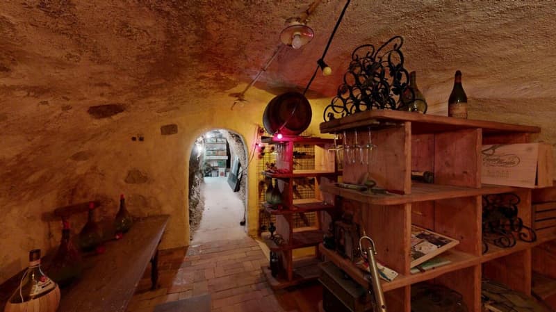 Unique lover's object with spacious garage / workshop (27)