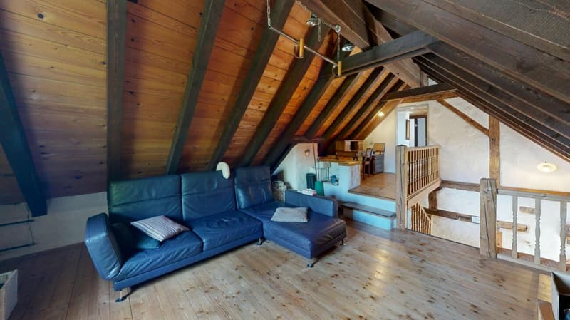 Unique lover's object with spacious garage / workshop (19)