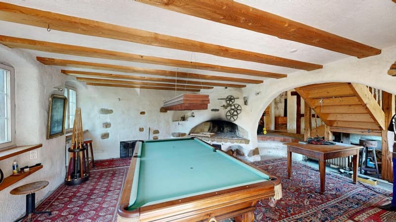 Unique lover's object with spacious garage / workshop (6)
