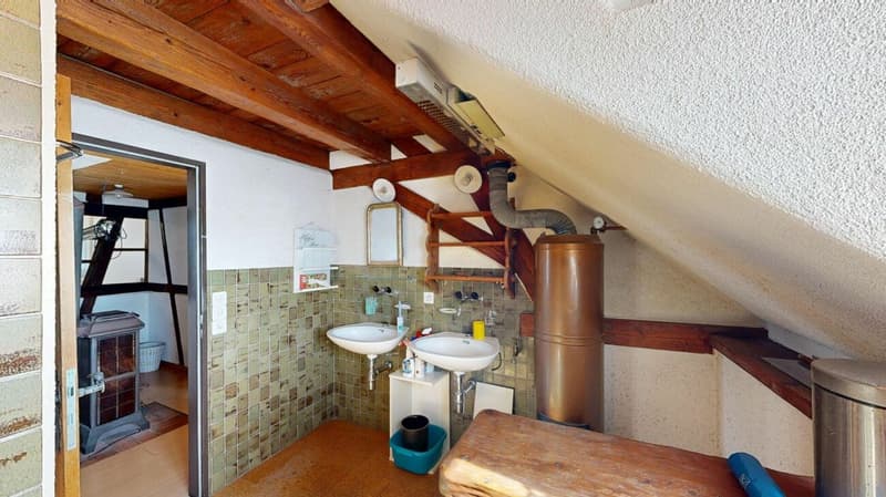 Unique lover's object with spacious garage / workshop (22)