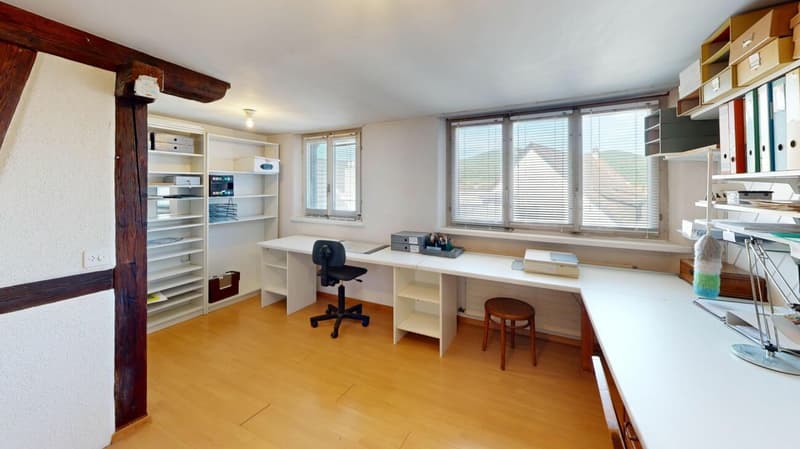 Unique lover's object with spacious garage / workshop (18)