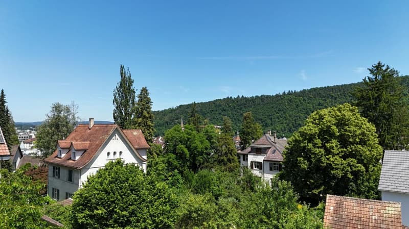 Où la vue devient un salon (2)