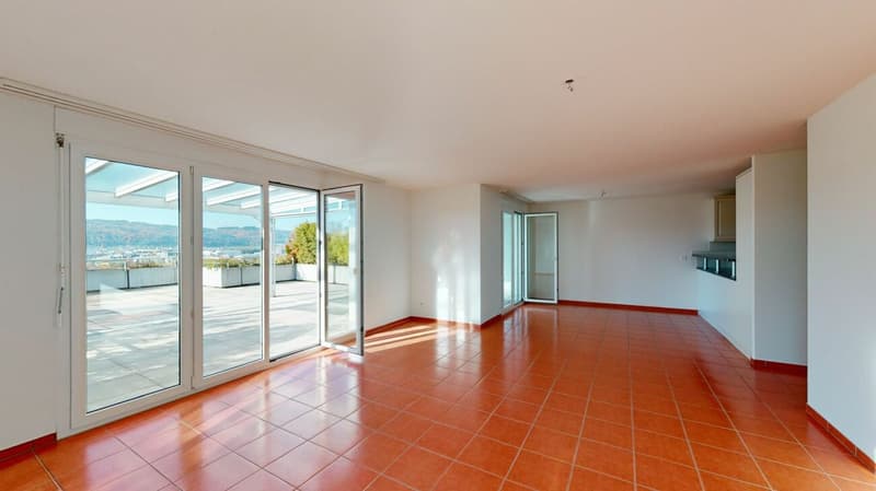 Living in an elevated location, with a far-reaching view and large terrace (5)
