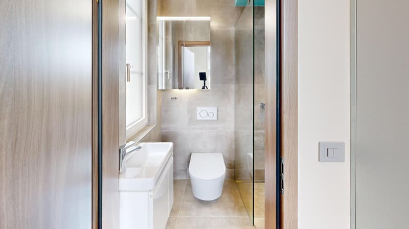 Erstvermietung: Charmantes, frisch renoviertes Tiny House mit privatem Garten in Boswil (7)