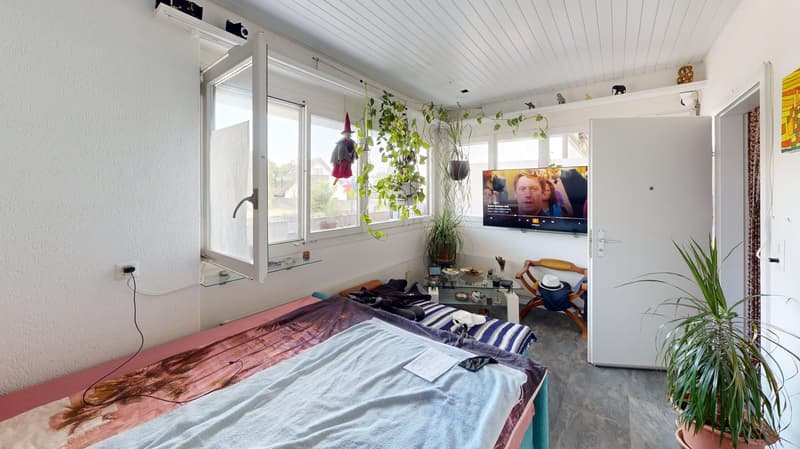 Attractive investment opportunity with established rental concept (13)