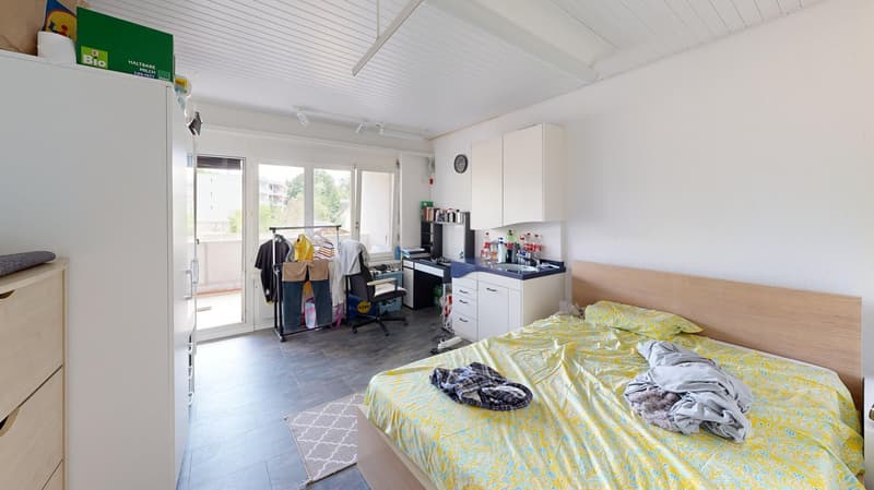 Attractive investment opportunity with established rental concept (11)
