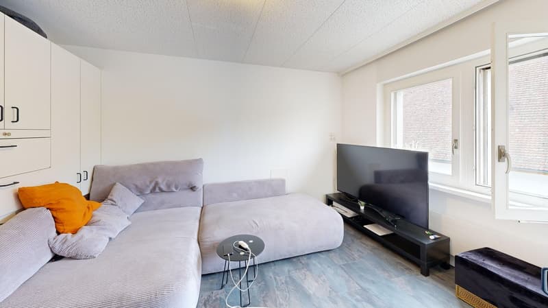 Attractive investment opportunity with established rental concept (6)