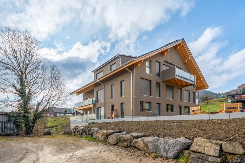 Appartamento moderno 4.5 locali con vista mozzafiato sulle montagne a Mühlethurnen (24)