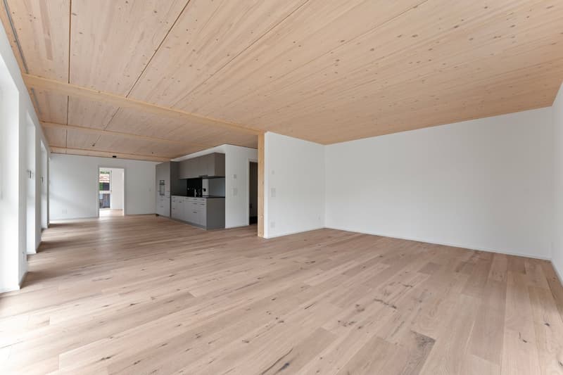 Appartamento moderno 4.5 locali con vista mozzafiato sulle montagne a Mühlethurnen (5)