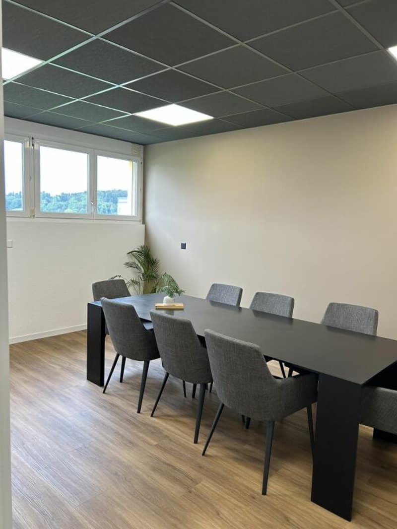 Moderne Gewerberäumlichkeiten an idealer Lage zu vermieten (10)