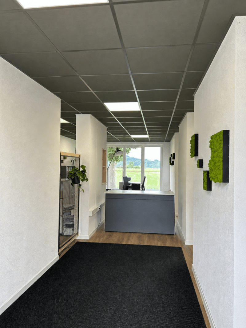 Moderne Gewerberäumlichkeiten an idealer Lage zu vermieten (6)