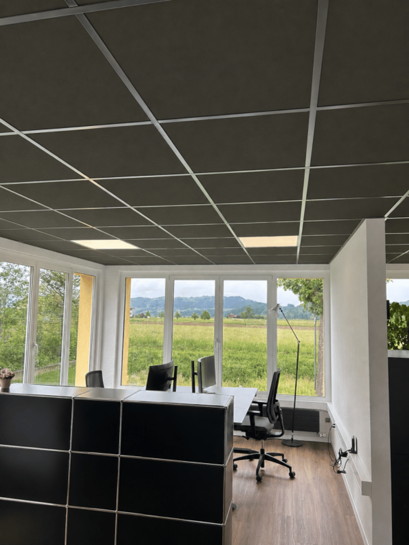 Moderne Gewerberäumlichkeiten an idealer Lage zu vermieten (5)