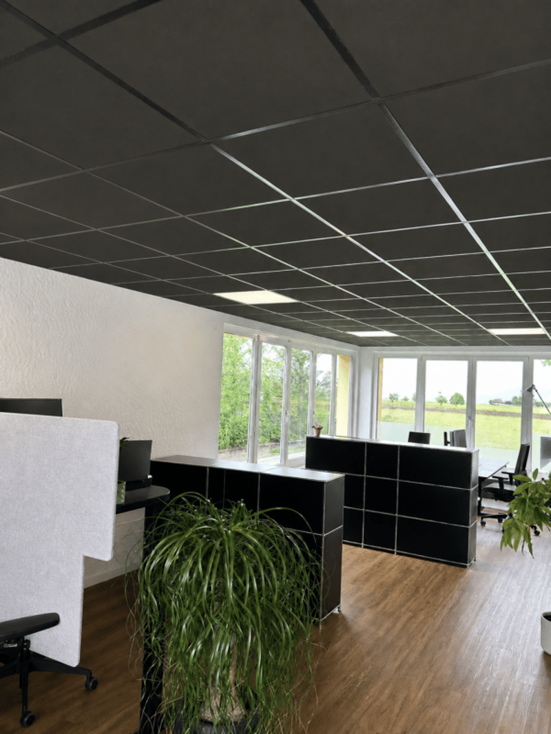 Moderne Gewerberäumlichkeiten an idealer Lage zu vermieten (4)