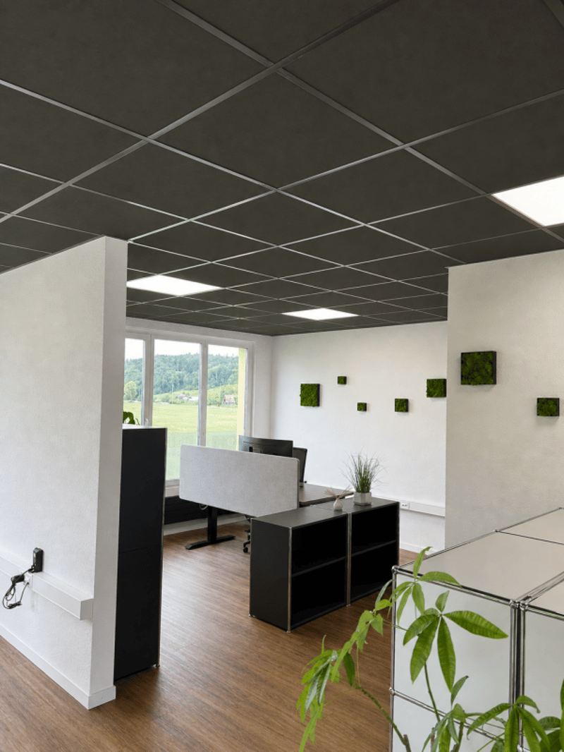 Moderne Gewerberäumlichkeiten an idealer Lage zu vermieten (1)