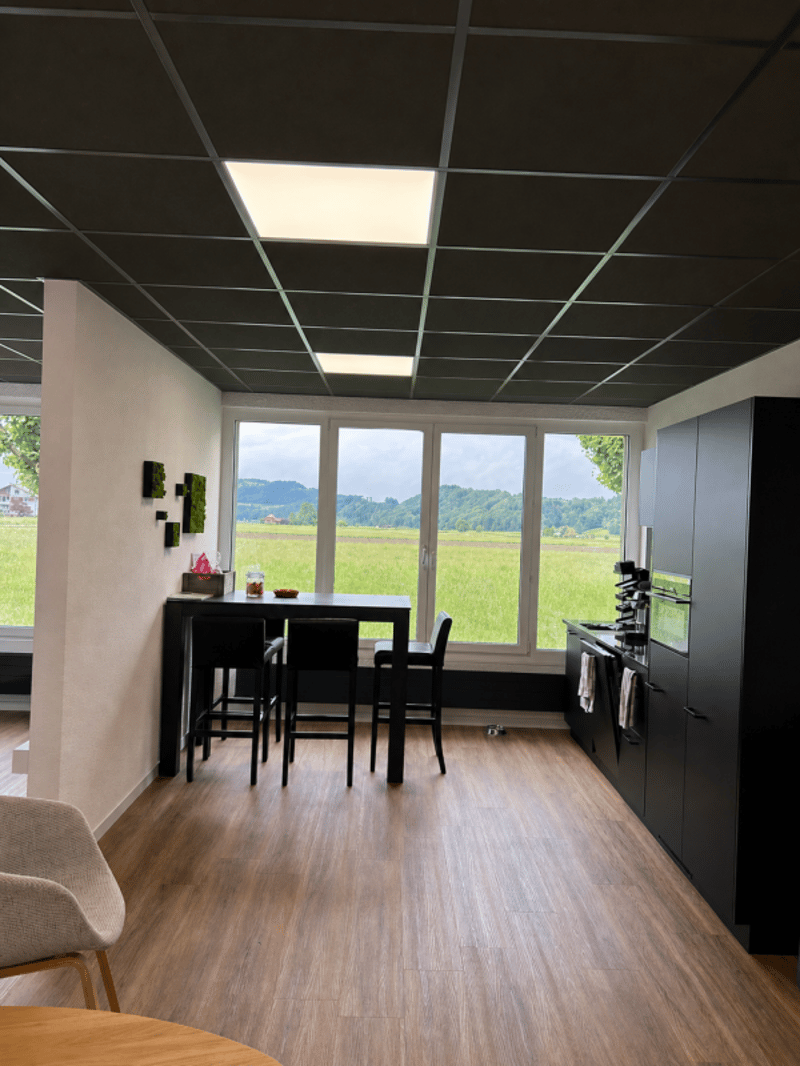 Moderne Gewerberäumlichkeiten an idealer Lage zu vermieten (8)