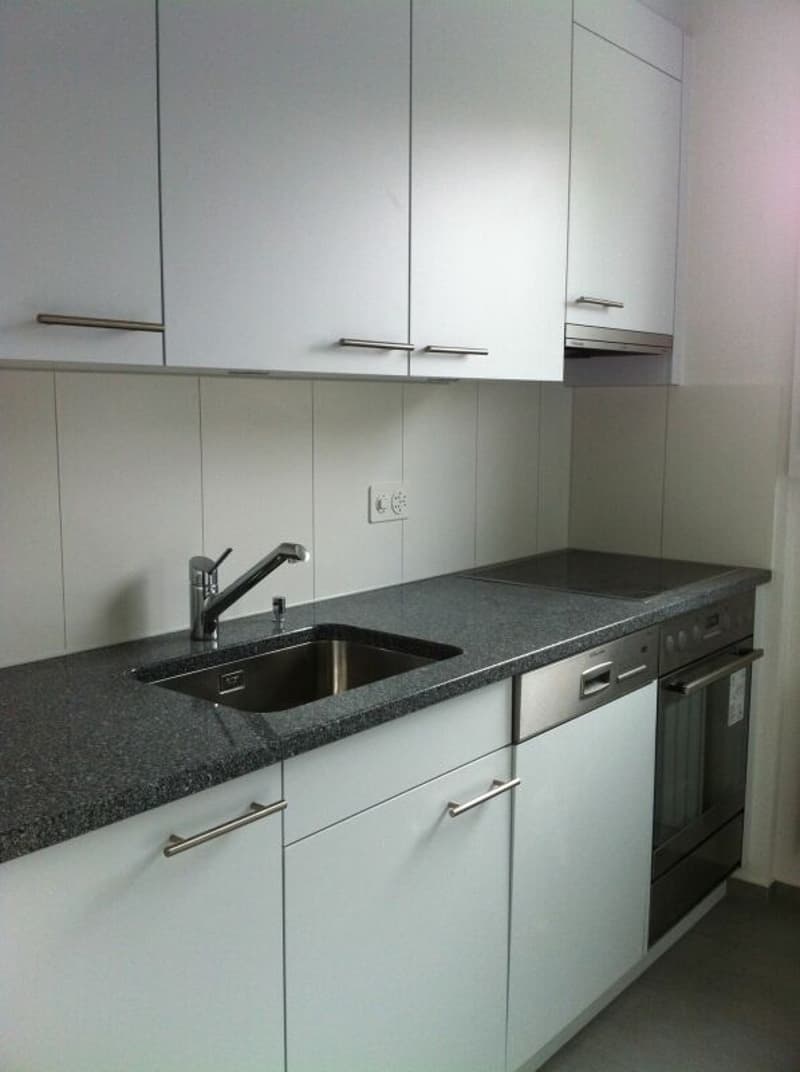Appartamento di 4,5 locali appena ristrutturato con balcone in posizione centrale in affitto (8)