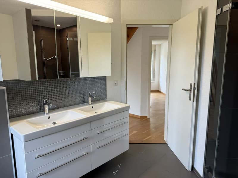 Top 8-room semi-detached house including attic apartment (10)
