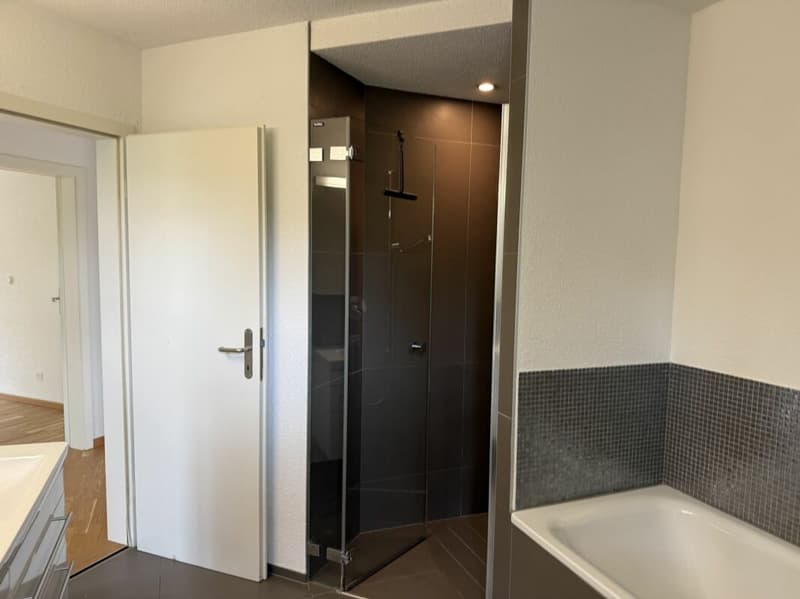 Top 8-room semi-detached house including attic apartment (11)