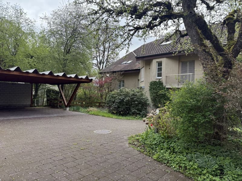 Top 8-room semi-detached house including attic apartment (15)