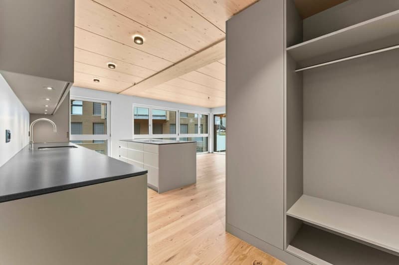 Superbe appartement 4.5 pièces à louer avec 2 balcons (5)